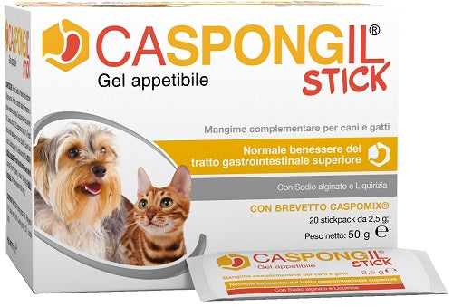 CASPONGIL STICK 20Stick Pack

