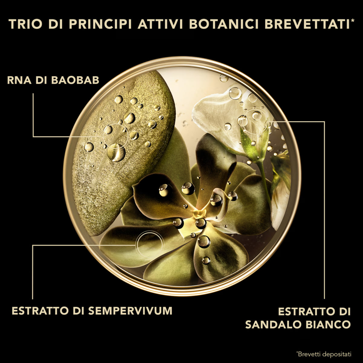 Lierac Premium Siero Assoluto con RNA di baobab sempervivum e sandalo bianco