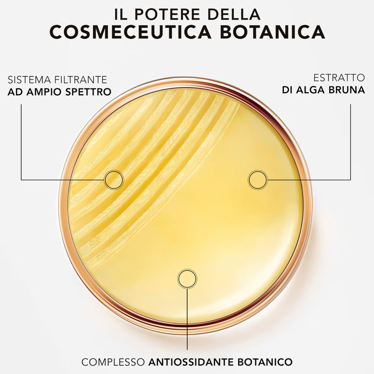 Lierac Sunissime Stick Solare con alga bruna e antiossidanti botanici