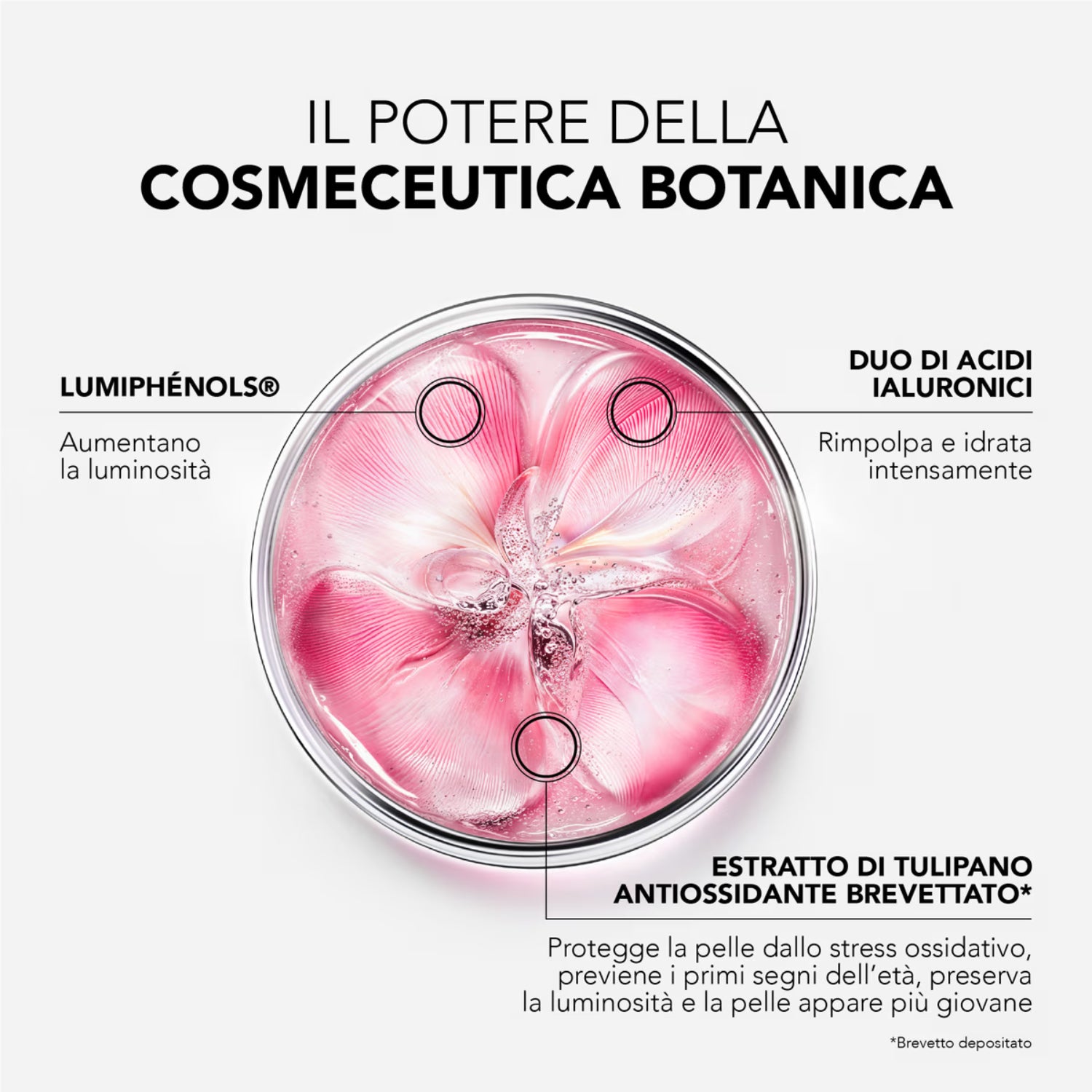 Lierac Glow Fresh crema viso con acido ialuronico e squalano