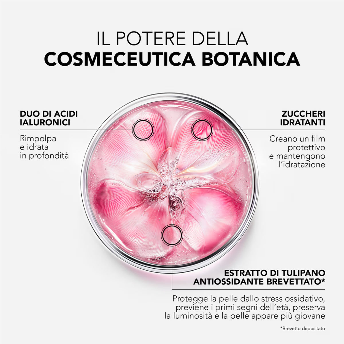 Lierac Glow Fresh maschera con acidi ialuronici e zuccheri