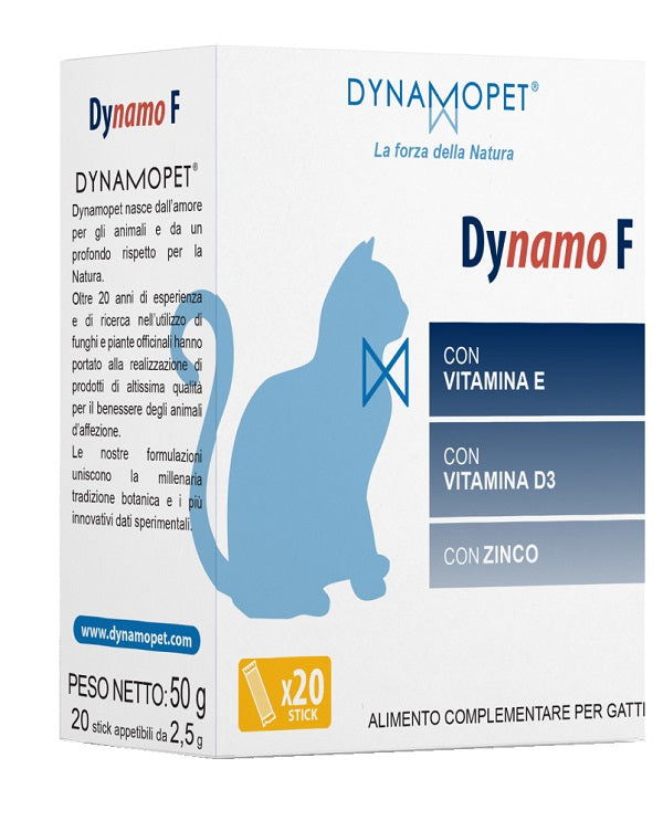 DYNAMO F 20STICK 2,5G  