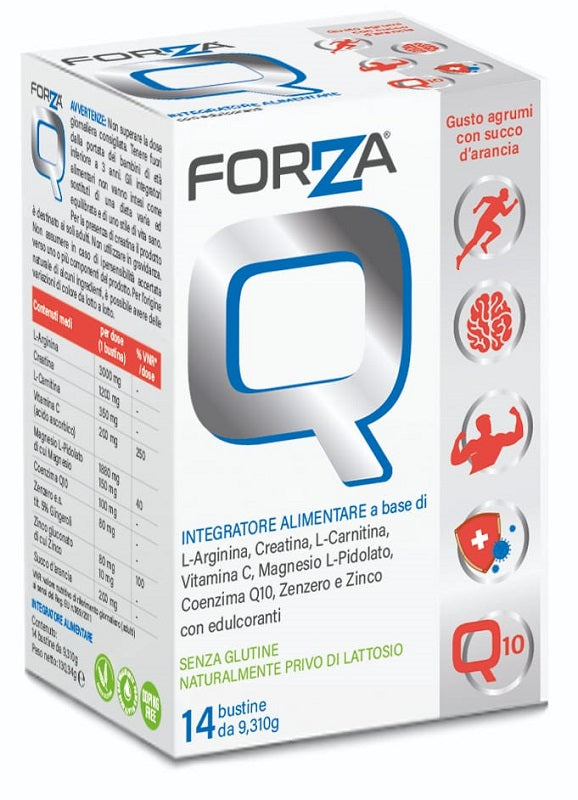 FORZA Q 14BUST  