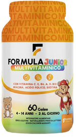 FORMULA MULTIVITAMINICO J60GEL  