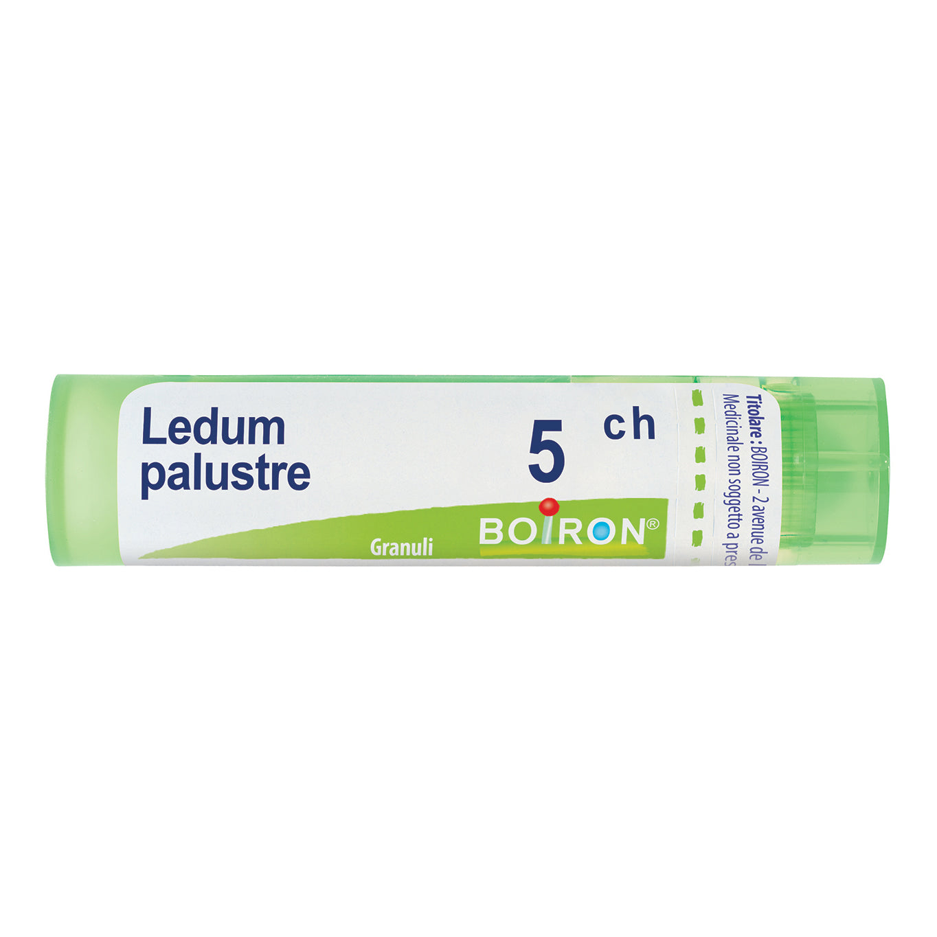 LEDUM PALUST 5CH GR 4G