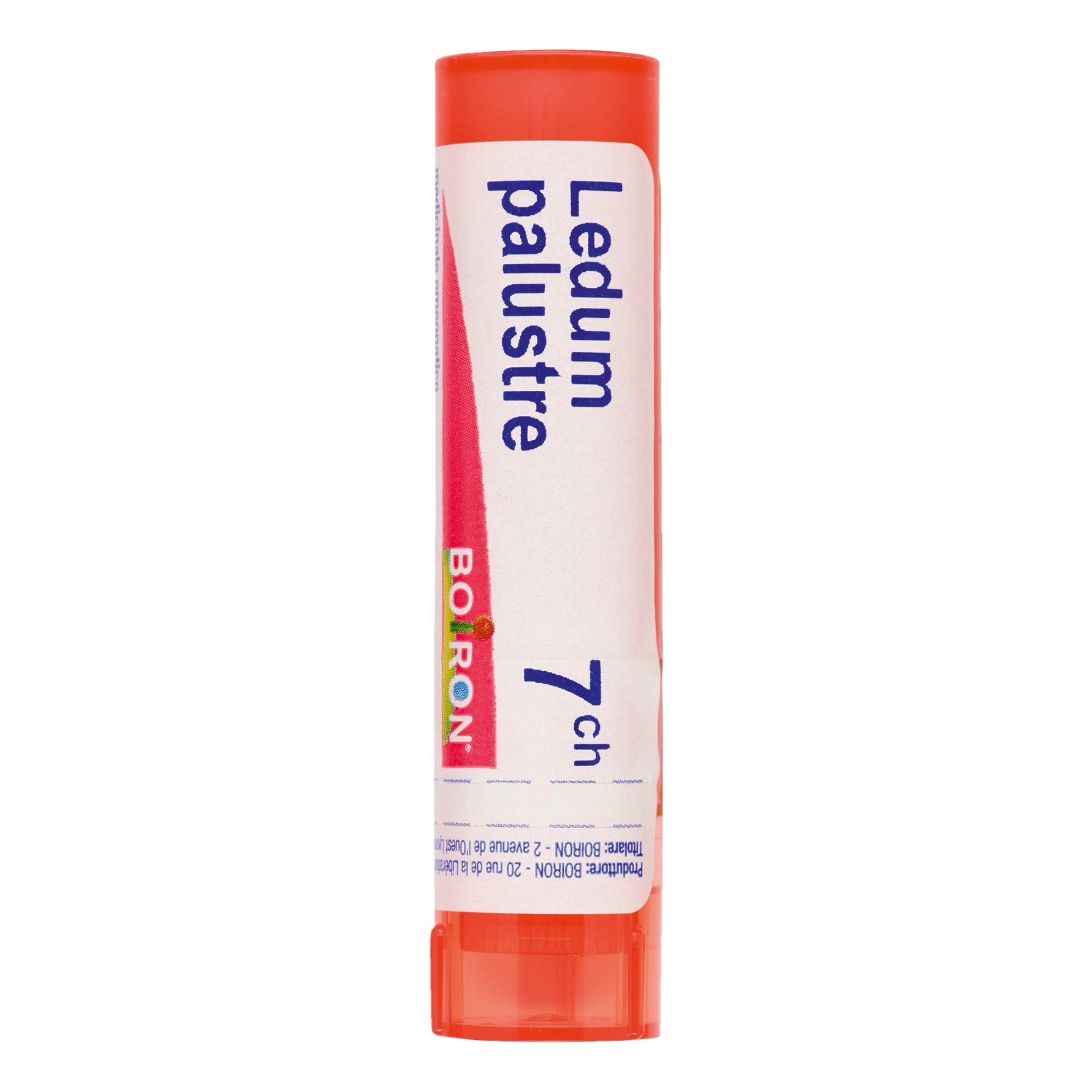 LEDUM PALUST 7CH GR 4G
