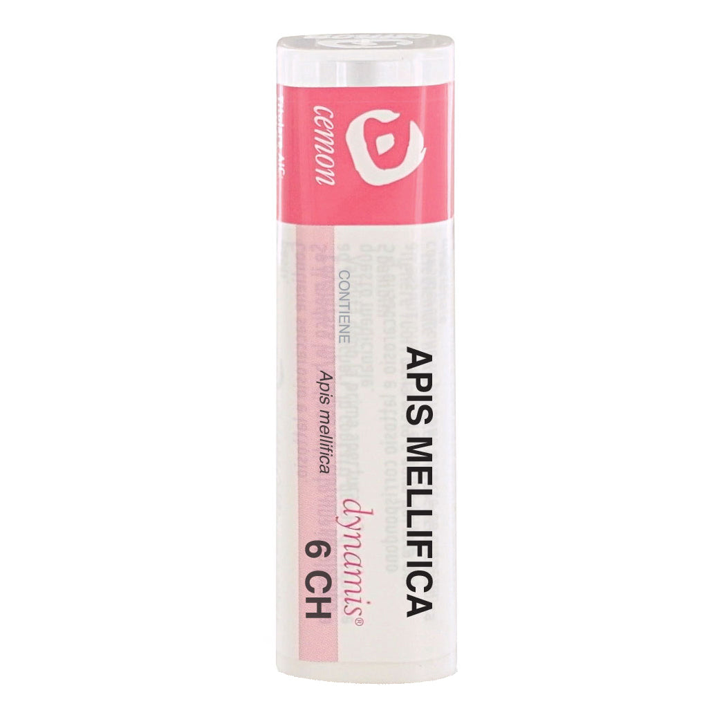 APIS MELLIFICA 6CH GR  