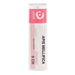 APIS MELLIFICA 6CH GR  