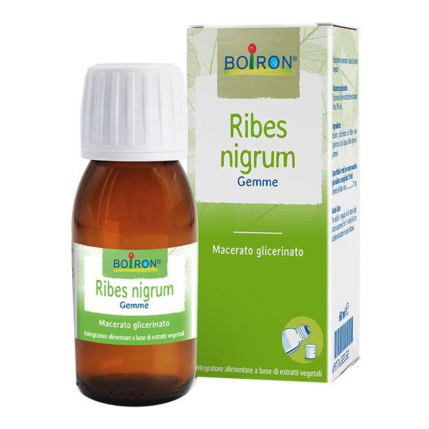 RIBES NIGRUM 7CH GR 4G
