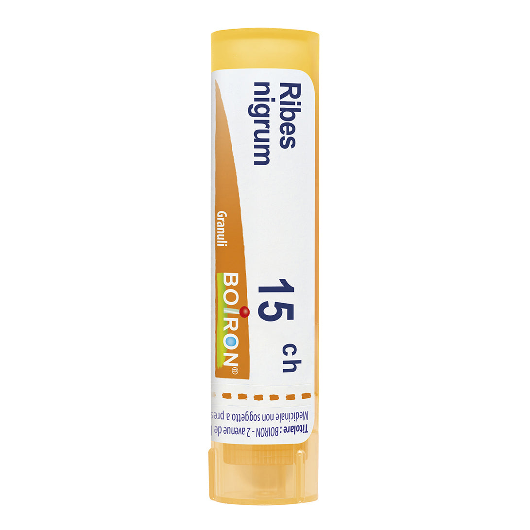 RIBES NIGRUM 15CH GR 4G  