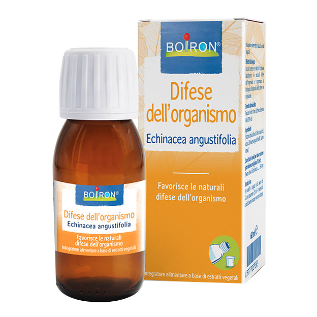ECHINACEA ANGUST 4CH GR 4G  