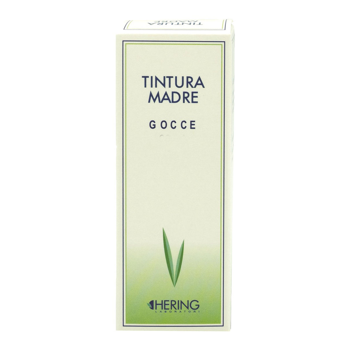 RIBES NIGRUM 125ML TM  