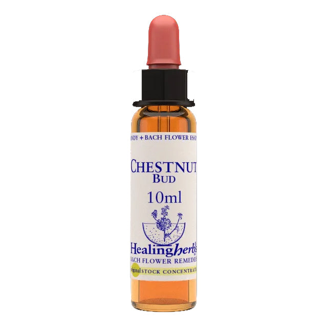 CHESTNUT BUD ESSENZA 10ML