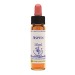 CHICORY ESSENZA 30ML  