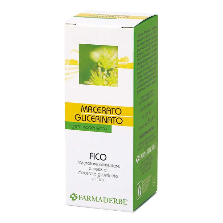 FICO GEMME MG 50ML