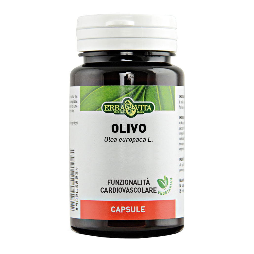 OLIVO 60CPS  