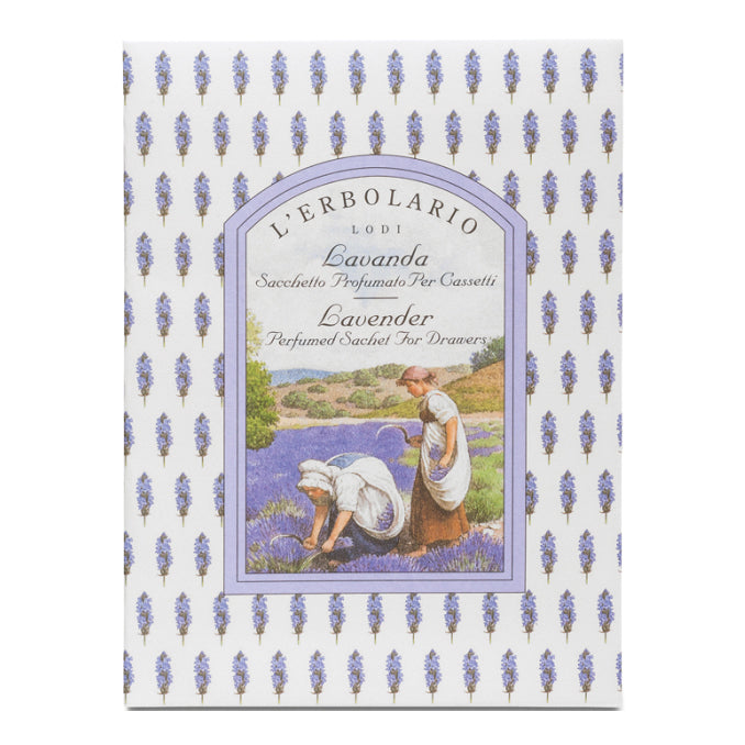 LAVANDA SACCHETTO PROF CASS