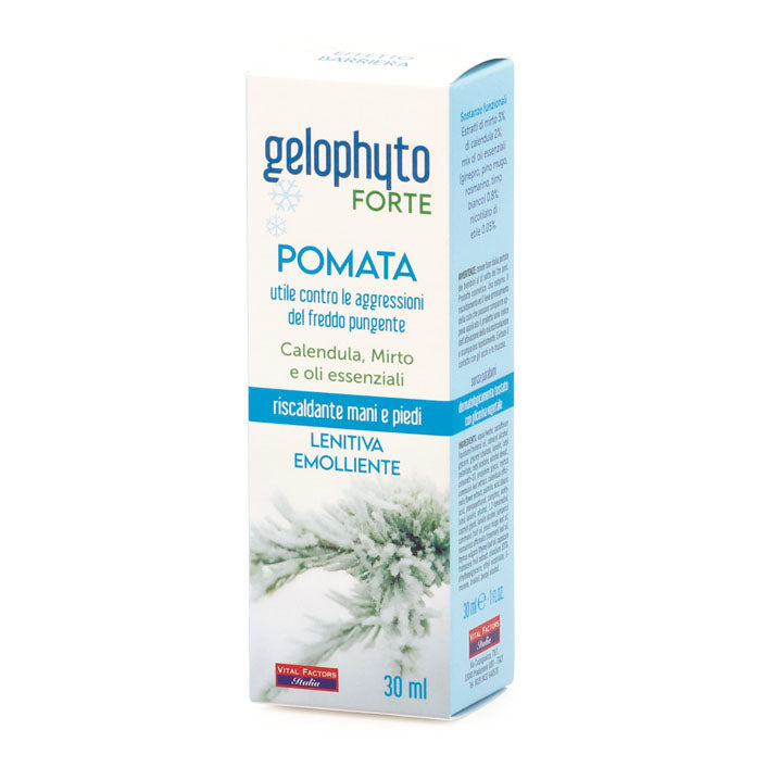 GELOPHYTO FORTE POMATA 30ML