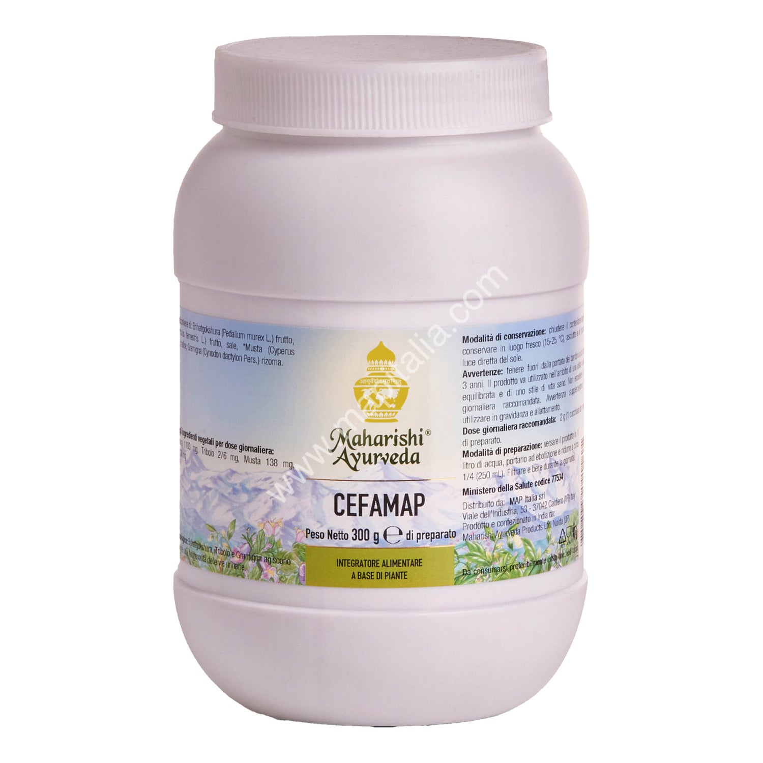 CEFAMAP POLVERE 300G