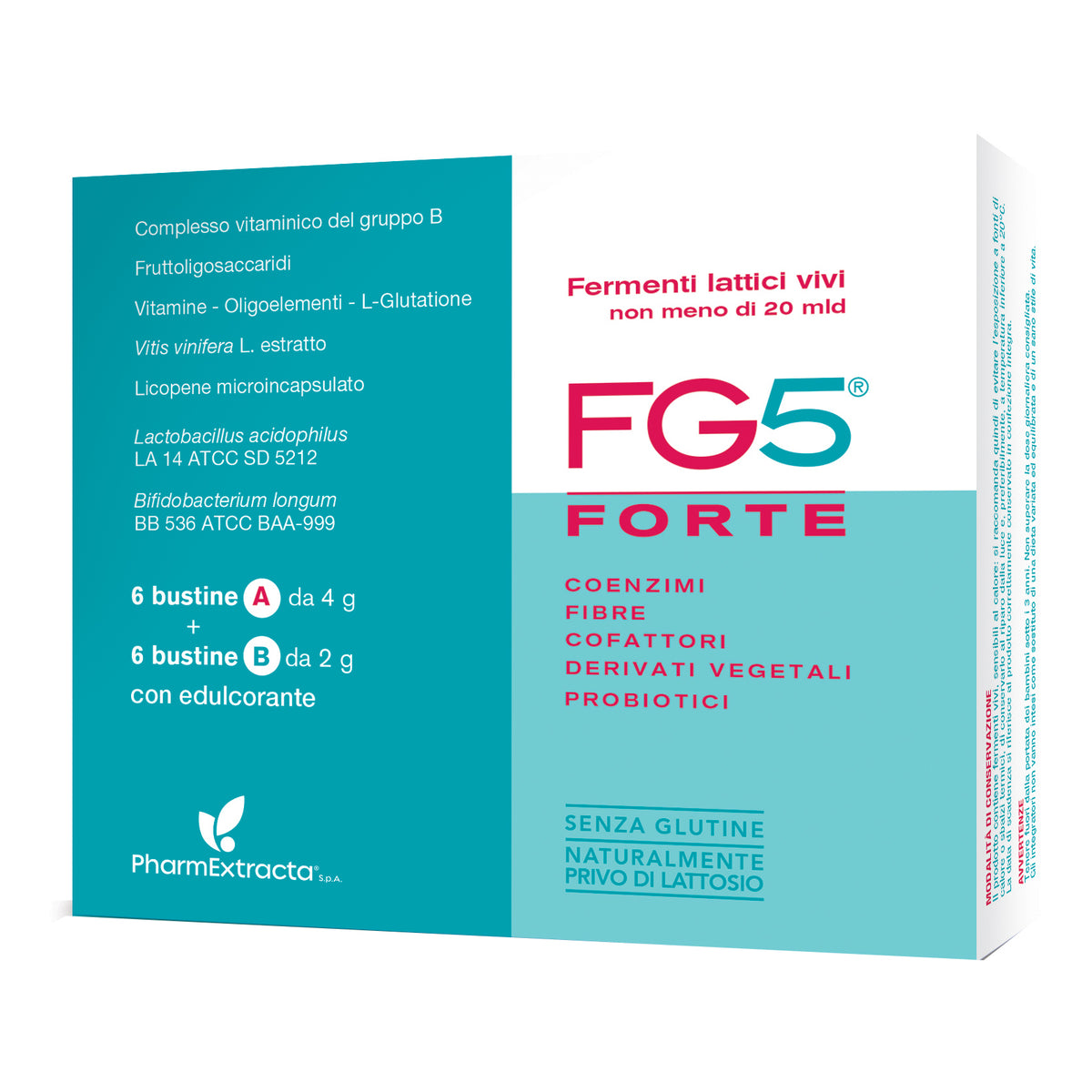 FG5 FORTE 6BUST A+6BUST B  