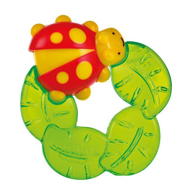 14239 MORDICCHIOSO COCCINELLA