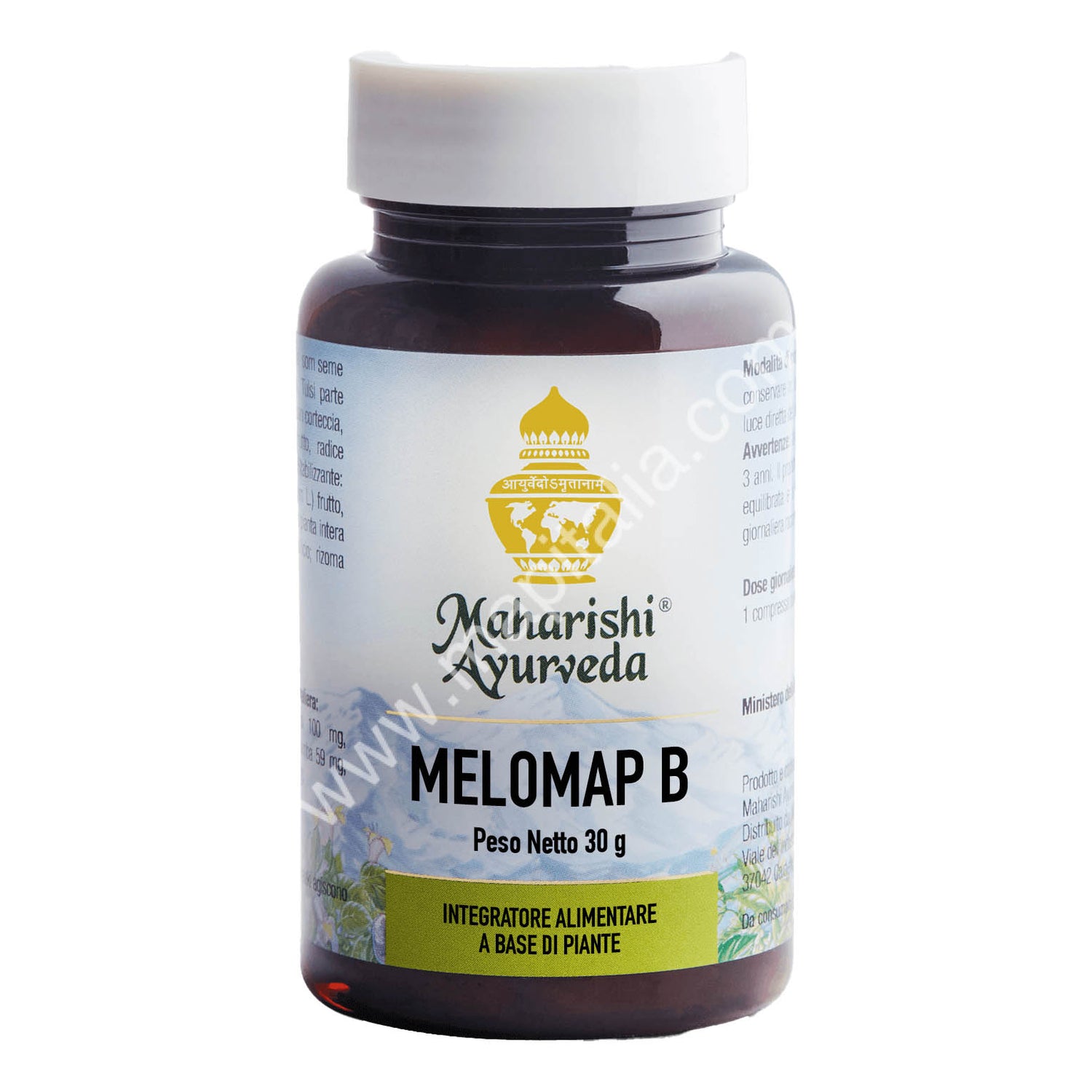 MELOMAP B POLVERE 30G