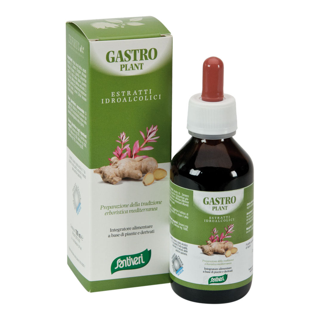 ZEF03 GASTRO PLANT STV  