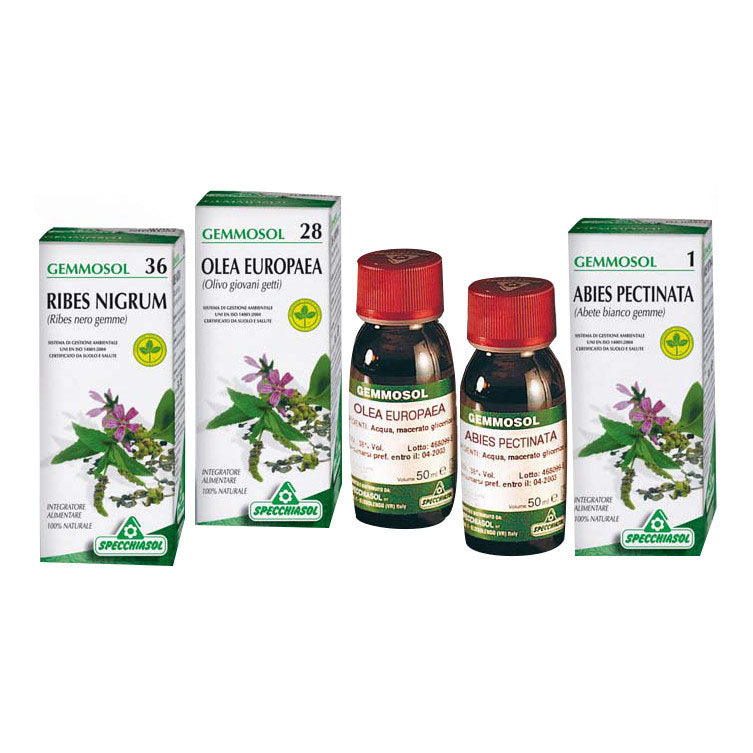 GEMMOSOL 3 IPPOCASTANO 50ML

