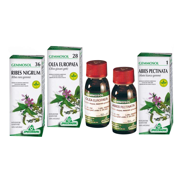 GEMMOSOL 42 SEQUOIA 50ML  