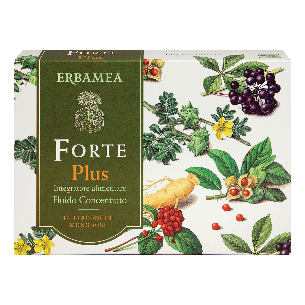 FORTE PLUS 14FL MONOD 10ML
