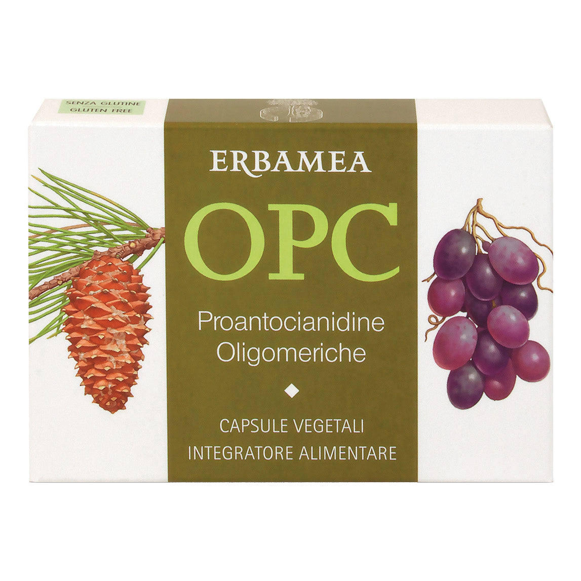 OPC 24CAPSULE  