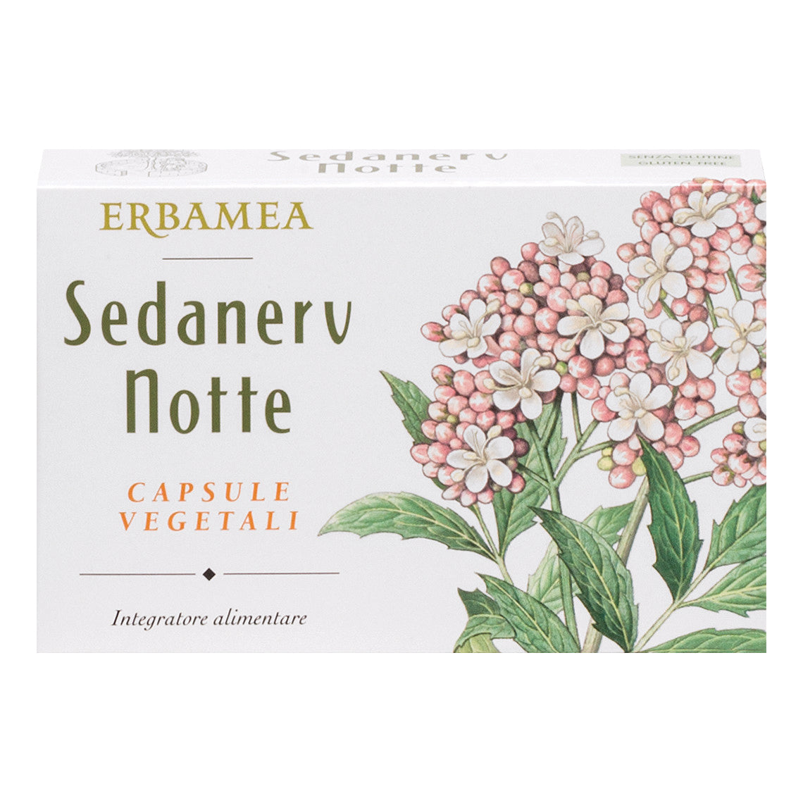 SEDANERV NOTTE 24CPS VEG  