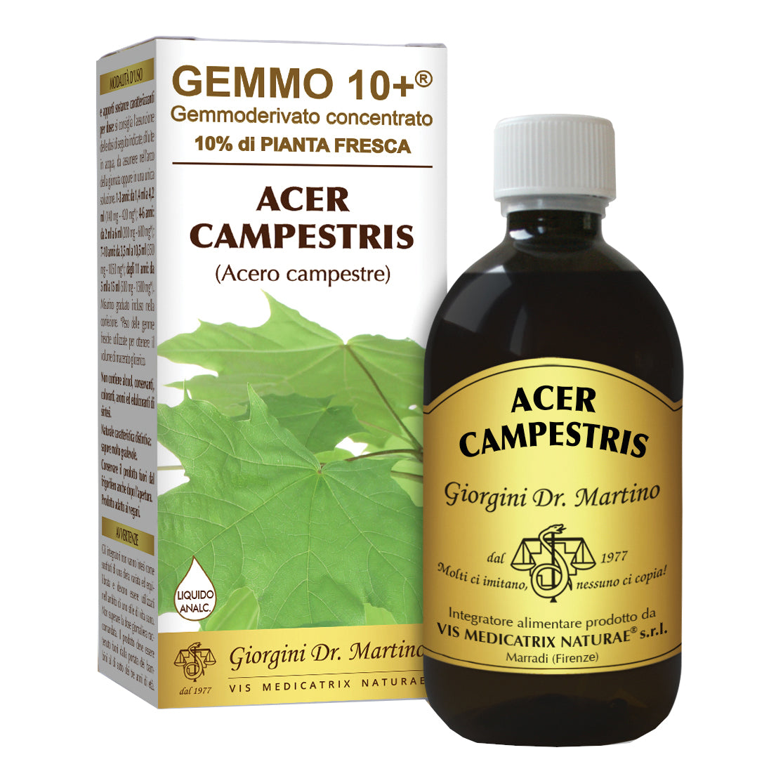 ACERO CAMP 500ML ANALCO GEM10+  