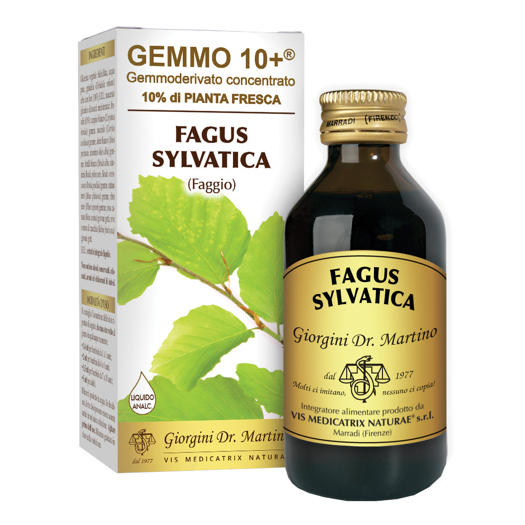 FAGGIO 100ML ANALCO GEMMO 10+
