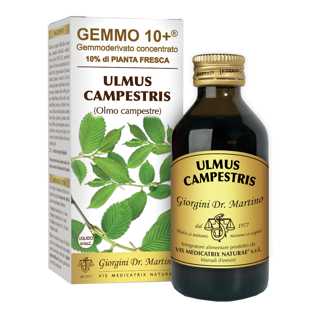 OLMO CAMP 100ML ANALCO GEMM10+
