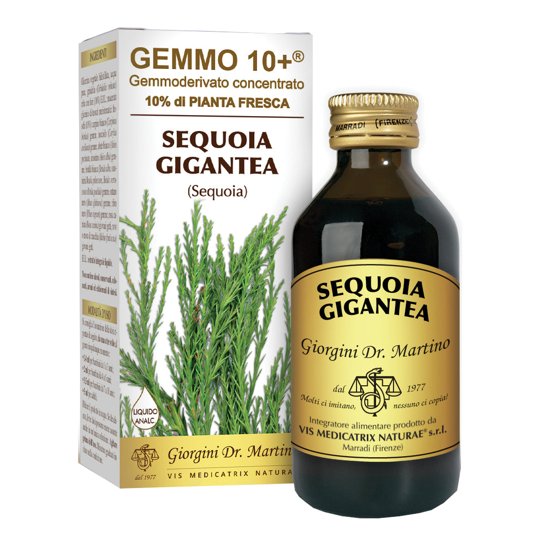SEQUOIA 100ML ANALCO GEMMO 10+
