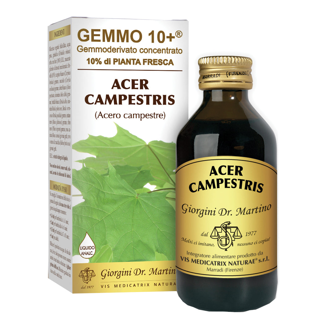 ACERO CAMP 100ML ANALCO GEM10+  