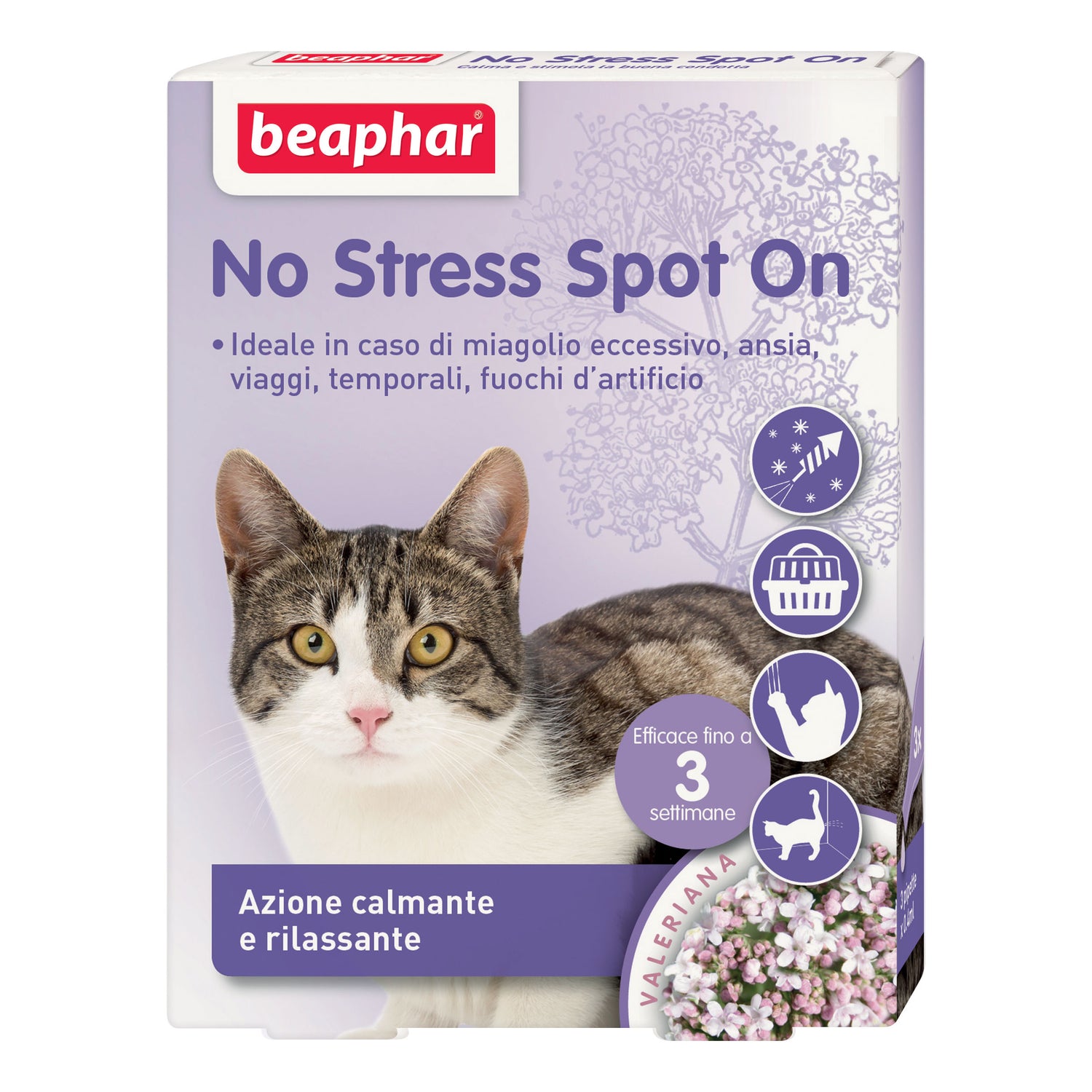 NO STRESS SPOT ON GATTO 3PIPET