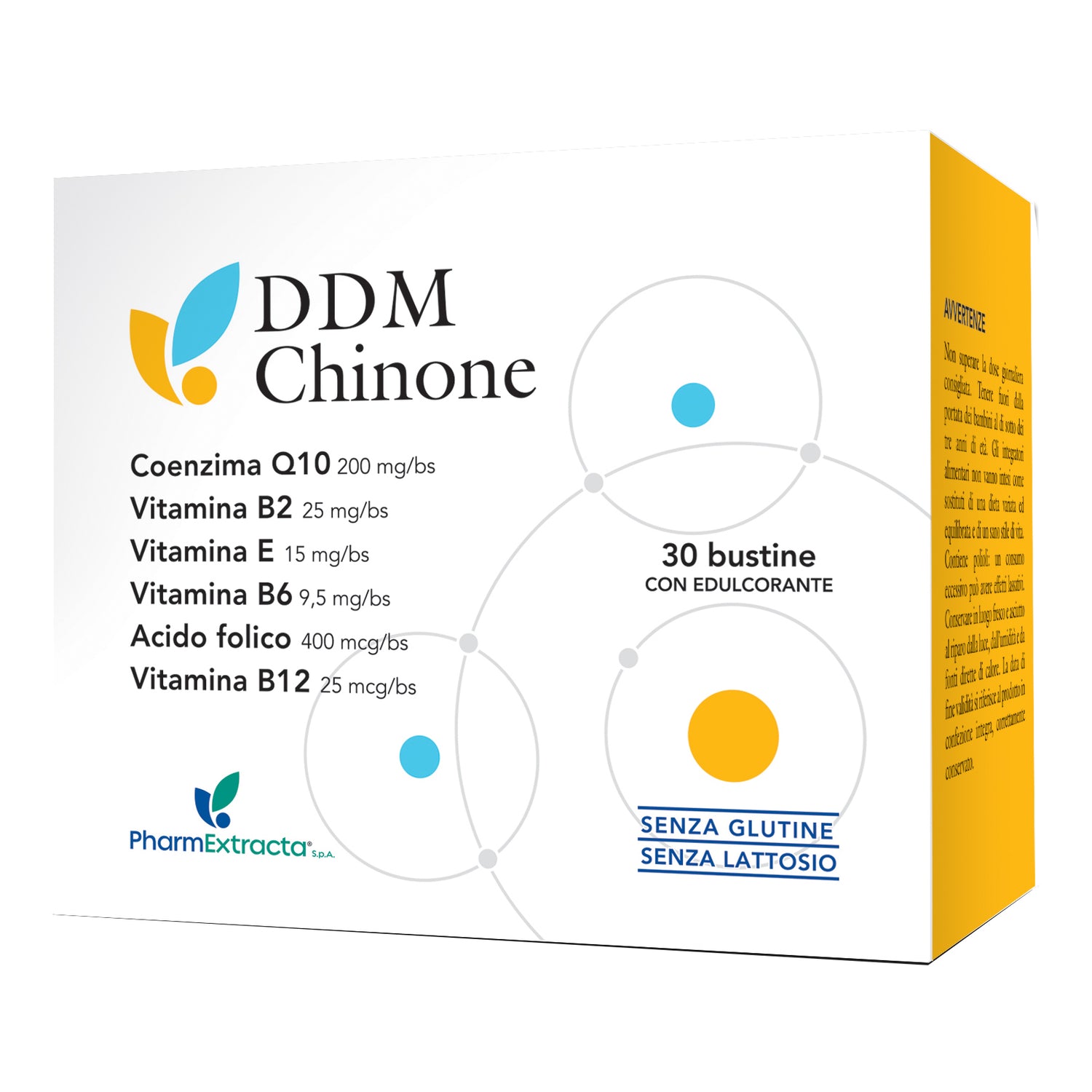 DDM CHINONE 30BUSTINE