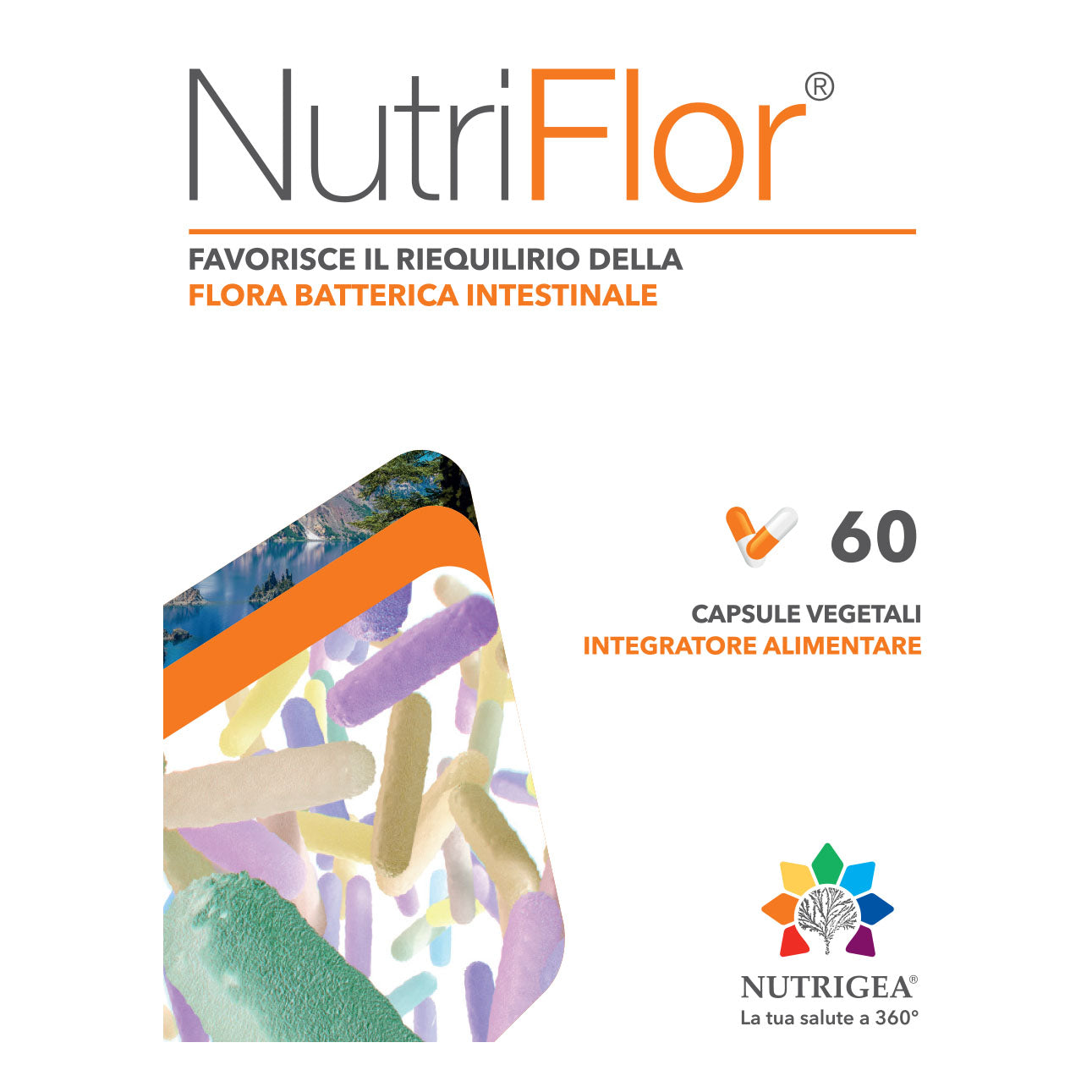 NUTRIFLOR 60CPS NF