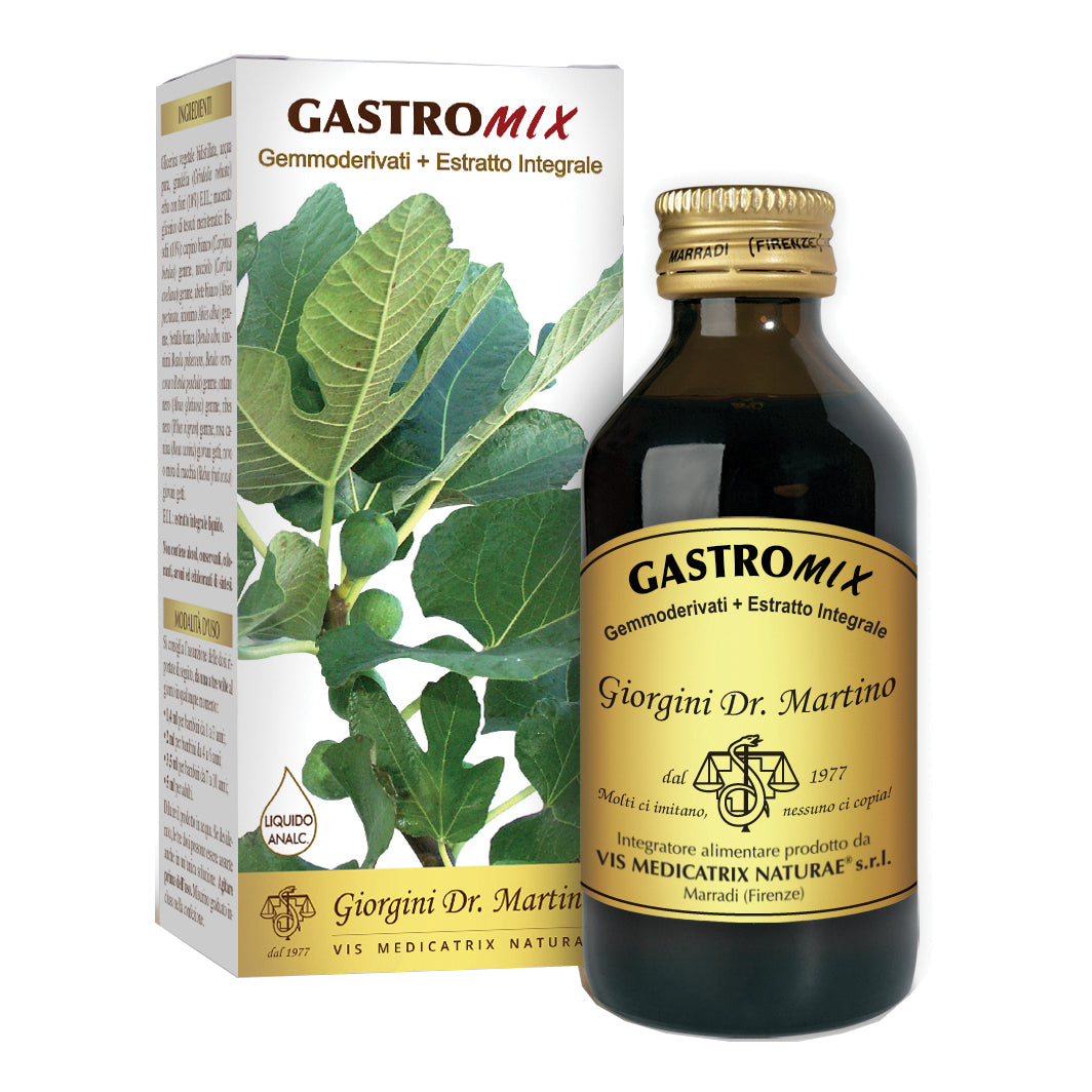 GASTROMIX LIQUIDO ANALC 100ML  