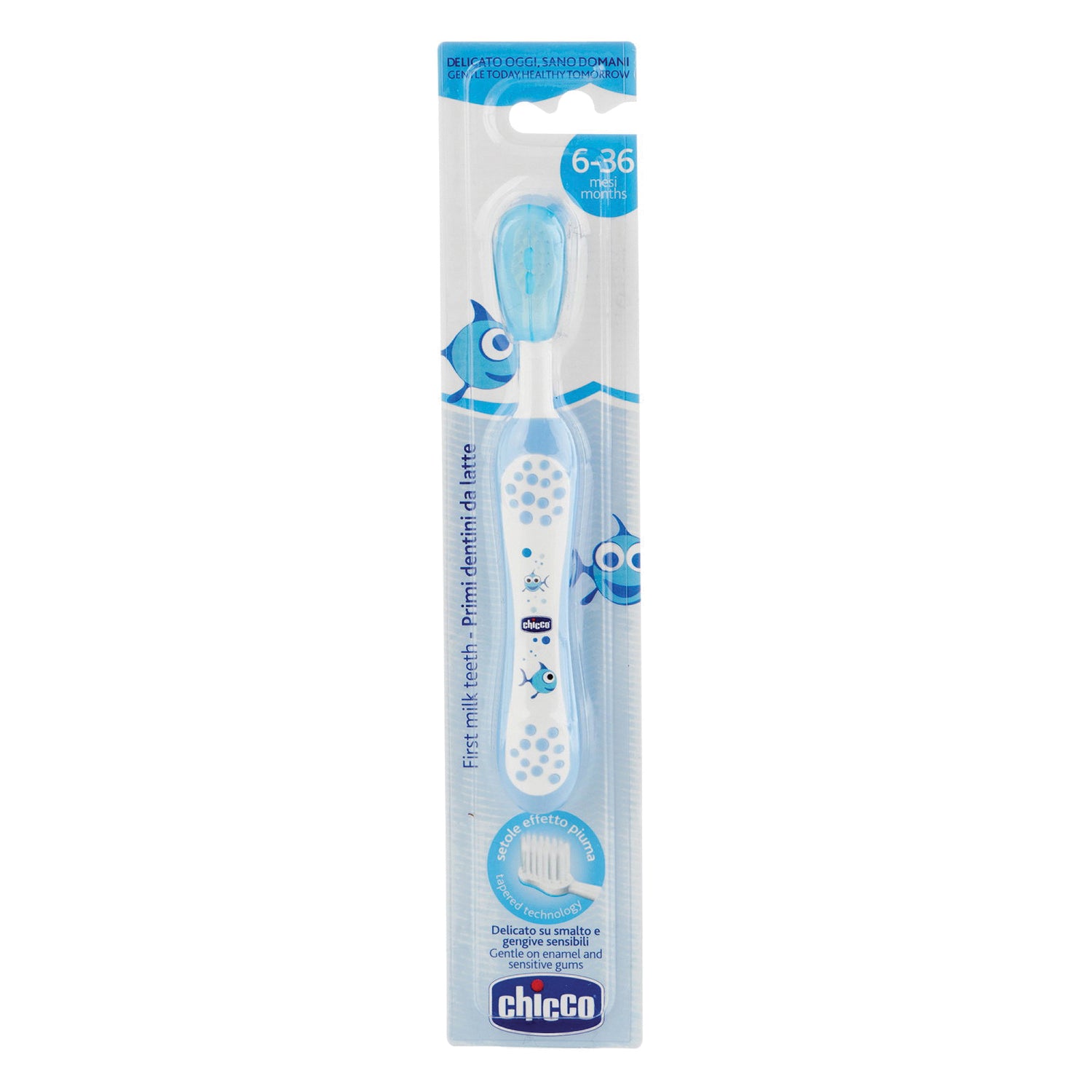 CH SPAZZOLINO AZZURRO