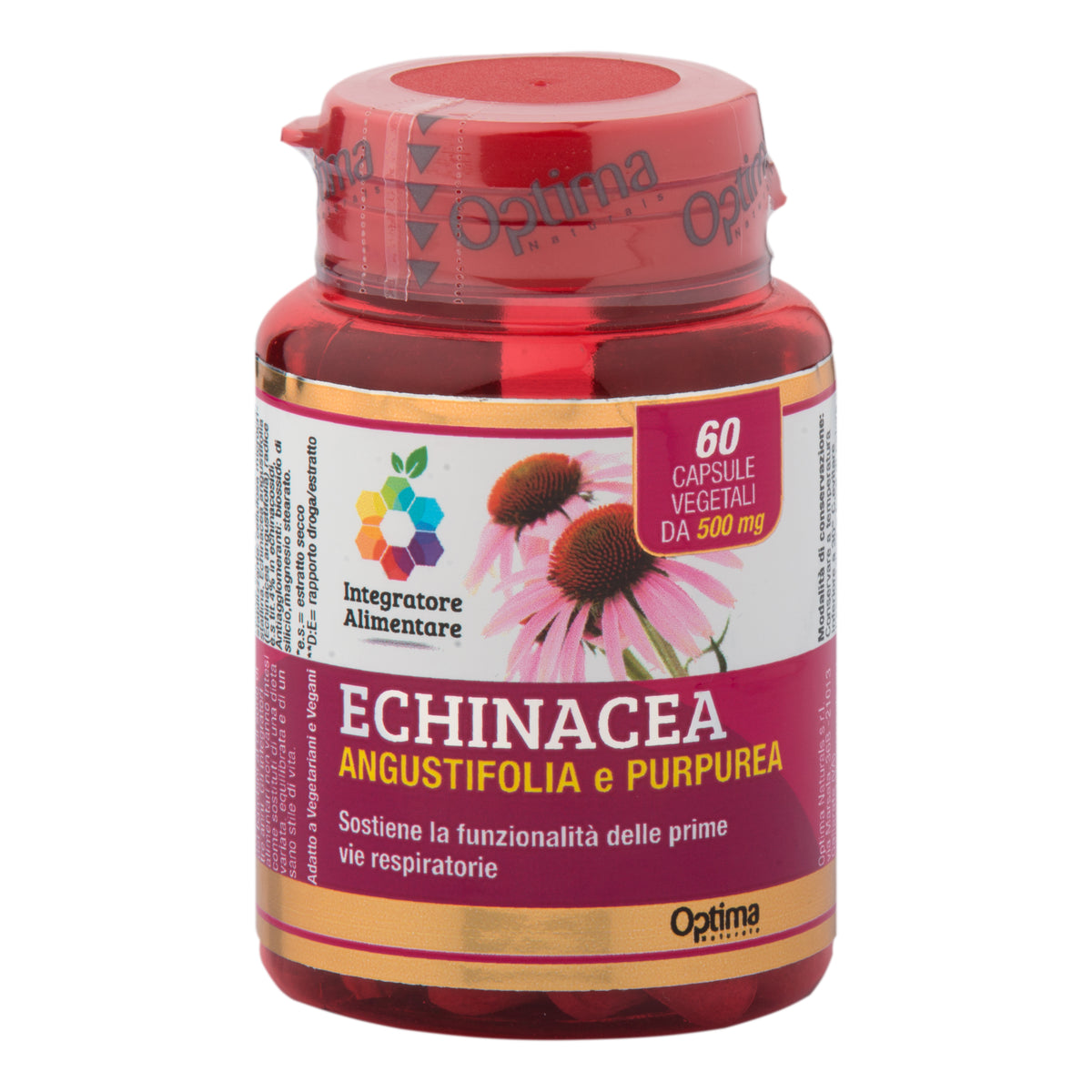 ECHINACEA 60CPS COLOURS  