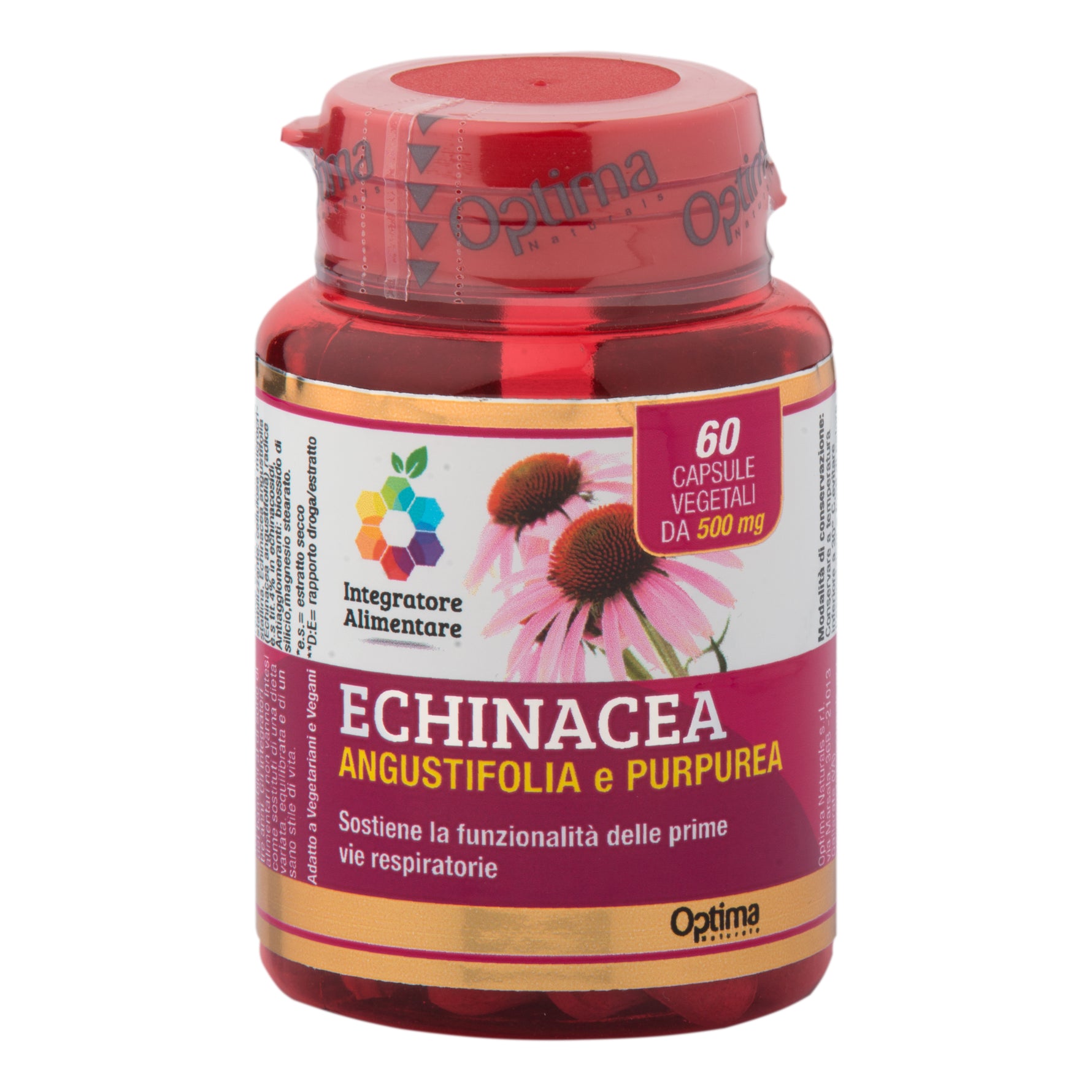 ECHINACEA 60CPS COLOURS
