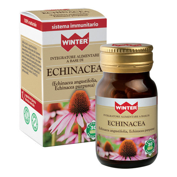 WINTER ECHINACEA 30CPS VEG  