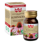 WINTER ECHINACEA 30CPS VEG  