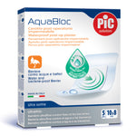 CER PIC AQUABLOC 10X8 5PZ  