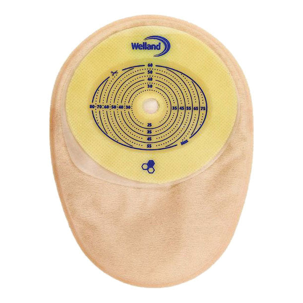 AURUM COLO TR RIT 13-60X80 30P  