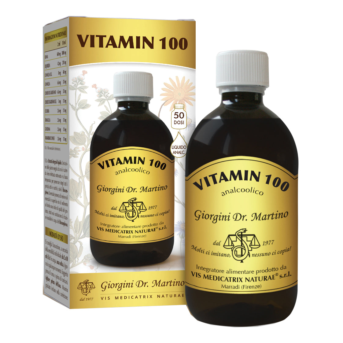 VITAMIN 100 LIQUIDO ANALC500ML  