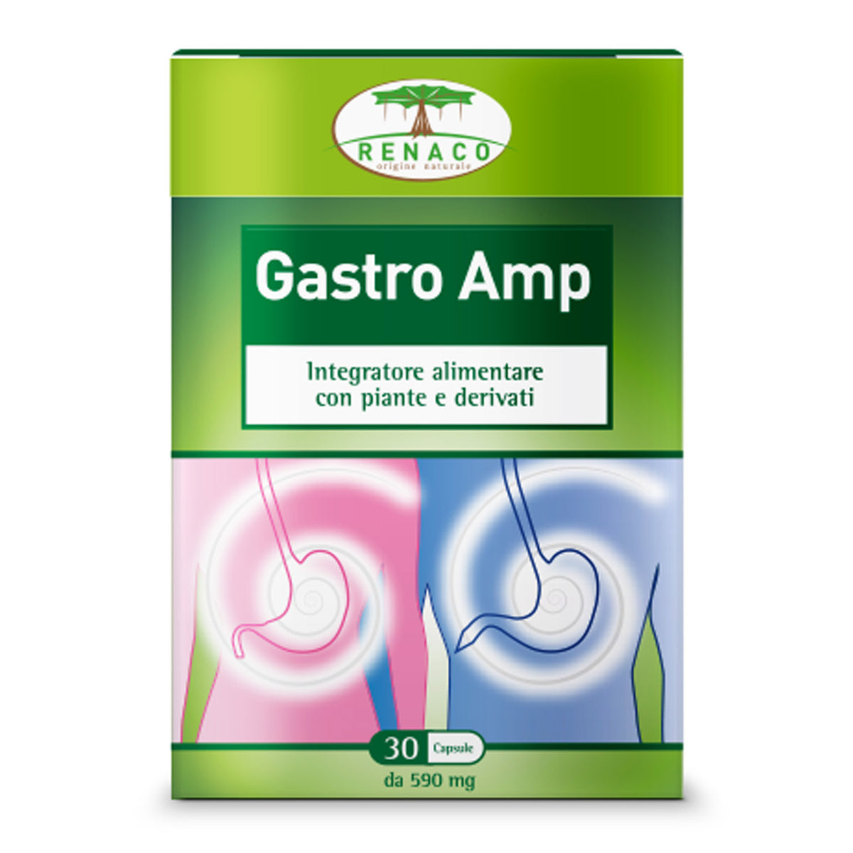 GASTRO AMP 30CPS  